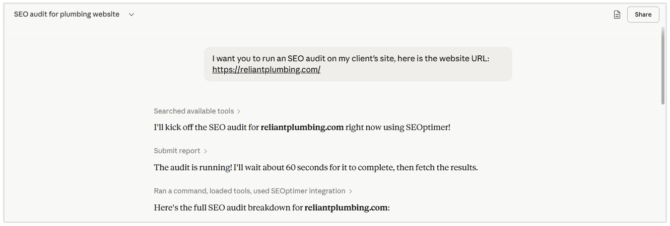 Run client website audit